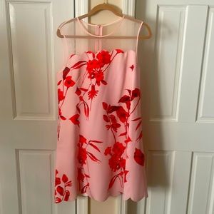Ted Baker dress size 4(10/12)